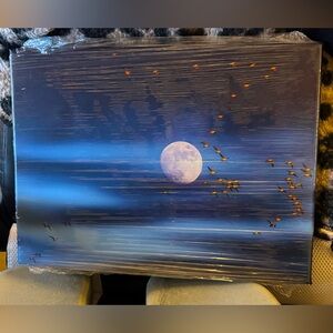 Moonlit Night Sky Canvas Wall Art 16x12